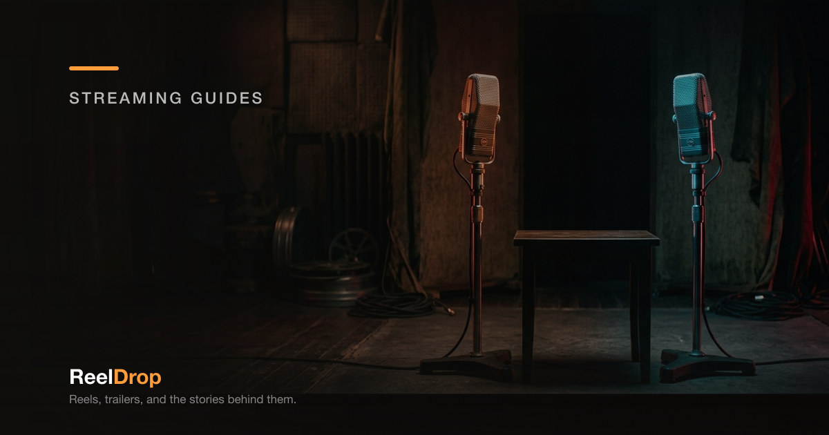 Dubbed or Subtitled? How to Choose and Why It Matters — Streaming Guides on ReelDrop