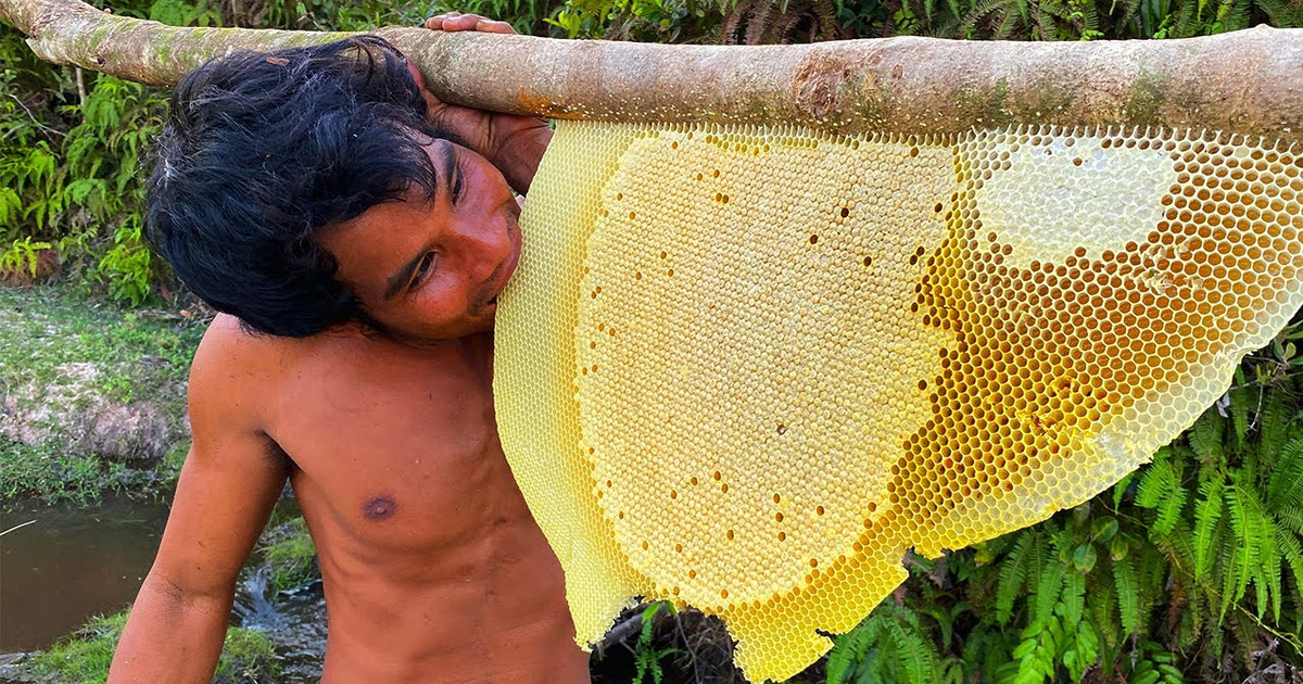 Unscripted Gold: Why That 'Millionaire Beehive' Video Is a Cinematography Masterclass, Video thumbnail (max res)